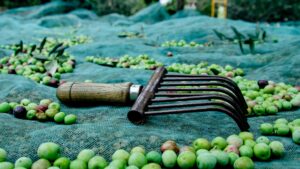 Rete olive per shopper spesa diffusa collezione by laboratorio CuCilento